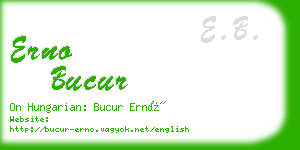 erno bucur business card